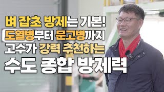 벼 재배 고수가 강력 추천하는 종합 방제 솔루션! 도열병 문고병 잡초 모두 다 방제 성공