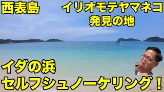 西表島 船浮にあるイダの浜でシュノーケルをする イリオモテヤマネコ発見の地 Youtube