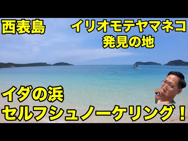 西表島 船浮にあるイダの浜でシュノーケルをする イリオモテヤマネコ発見の地 Youtube