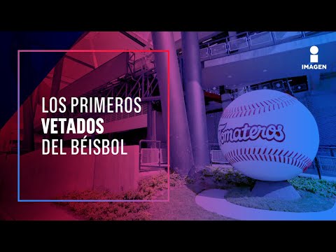 Aficionados se bañan en cerveza en estadio de los Tomateros | Noticias con Ciro Gómez Leyva