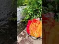 Daily life with a furoshiki bag.