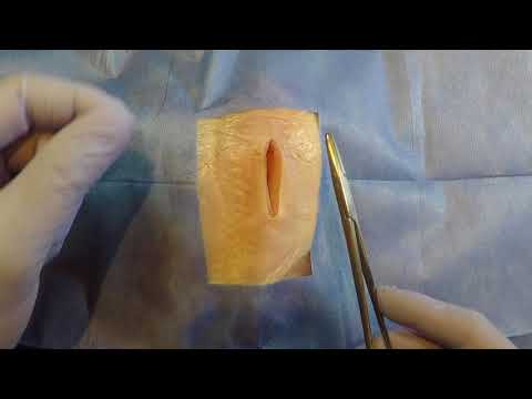 Vídeo: Melhorando as habilidades cirúrgicas em casa: 10 maneiras de praticar a sutura em frutas