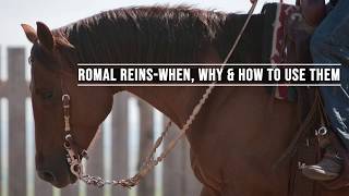 Romal Reins-When, Why &amp; How to Use Them