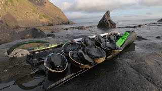 So many Pāua! (Abalone) Catch and Cook!