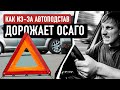 Как работают автомошенники? Почему дорожает ОСАГО?