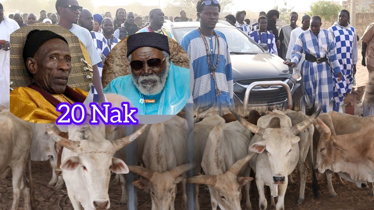 2ème Koumte Déballé Adiya Serigne Cheikh Ngounda Fall ci Serigne Amdy Khady Fall 20 Nak