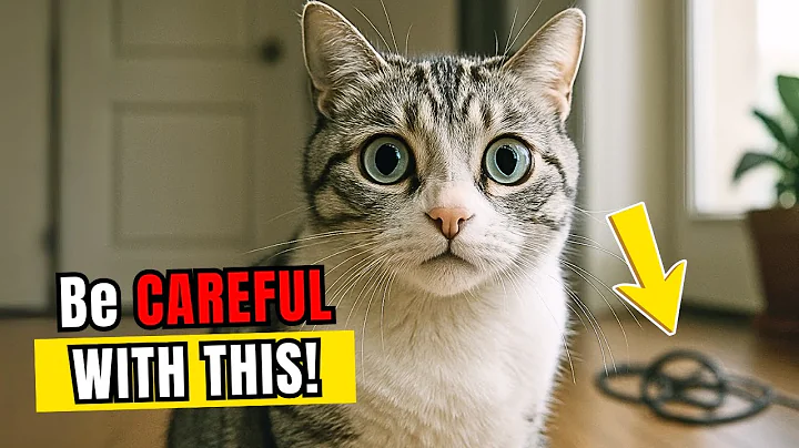 If You Have an Indoor Cat, Never Do This (Scientists Warn)