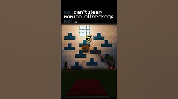 Counting Sheep... Minecraft Style 🐑🚂 (Sleep Trick)