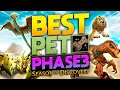 This is the BEST Hunter Pet in Phase 3! - Season of Discovery