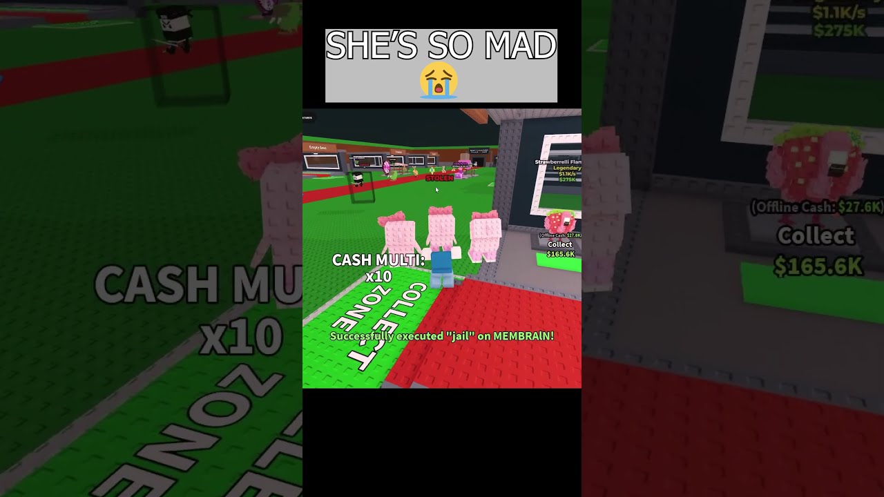 I Stole Her SECRET Steal A Brainrot 