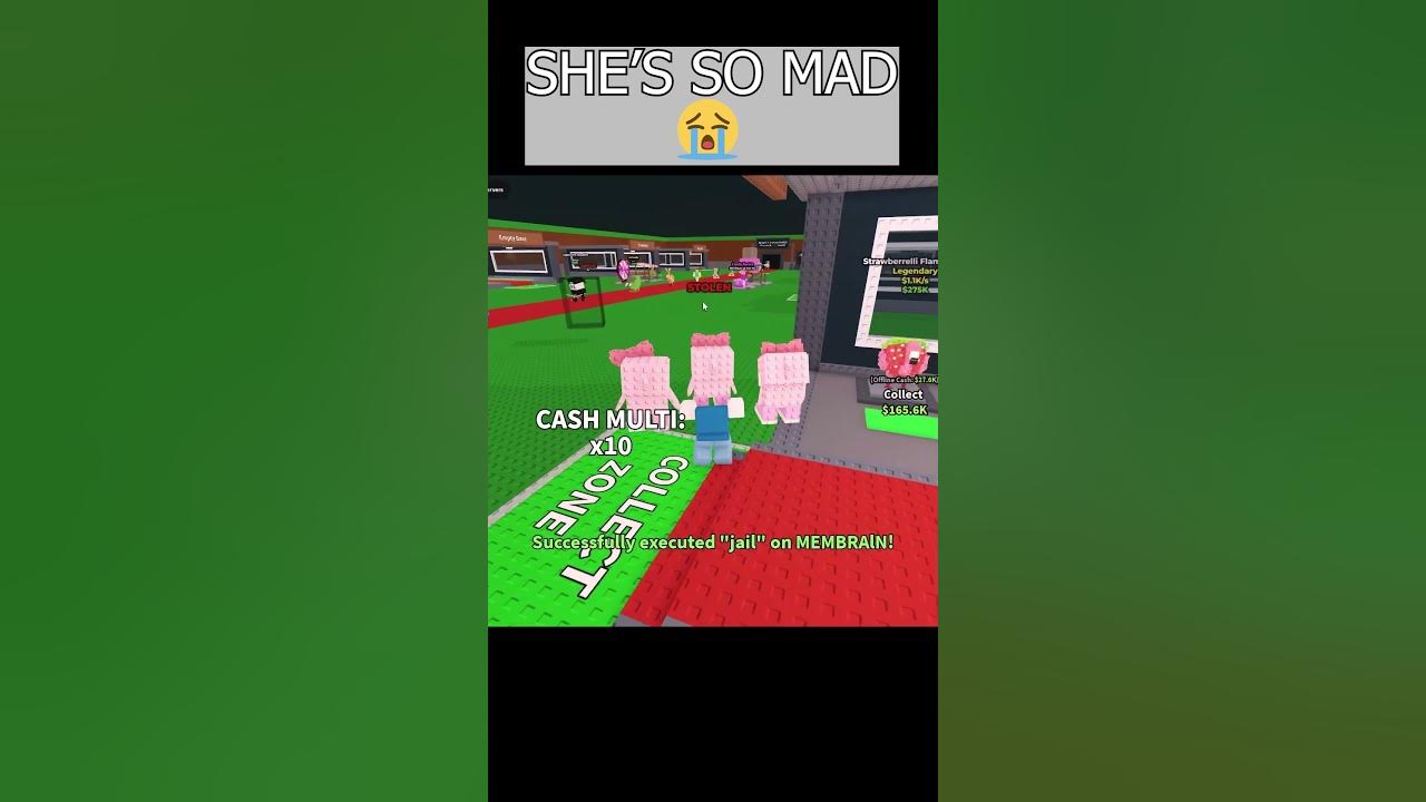 I stole her SECRET (Steal a brainrot)