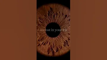 I M Lost In Ur Iris Browneyes 