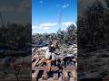 Simulate extreme hunting &amp; survival skills vol243 rdr2 #shorts #short
