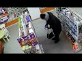 Во Владимире полицейские задержали мужчину, подозреваемого в совершении кражи товара из аптеки