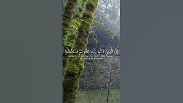 أكتب أي شيء تؤجر عليه | القارئ: ناصر القطامي @Alqtami #اكسبلور #ناصر_القطامي #قرآن #تلاوة_خاشعة