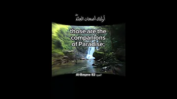 سورة البقرة الآية 82 Surah Al Baqara Ayah ا Peace Surahbaqarahwithurdutranslation Quotes 