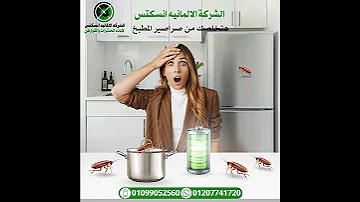 اباده نهائيآ لحشرة الصراصير الرقم المعتمد للشركة الألمانيه الاصليه 01099052560 لاباده الحشرات بمصر 