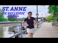 A Walk At St Anne De Bellevue Canal 