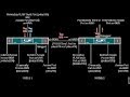 Что такое VLAN и Trunk. Как они работают и для чего созданы