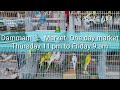 Dammam Pets Market , A very busy bargain market at Dammam Sieko