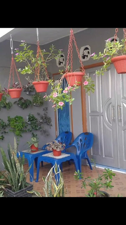 Bunga Gantung, #shorts #shortvideo #viral #palembang #hobi #youtuberpemula #bunga #bungagantung
