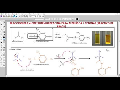 Vídeo: Quina és l'estructura de la 2 4 Dinitrofenilhidrazina?