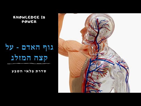 וִידֵאוֹ: מה מאפיין את מראה האדם