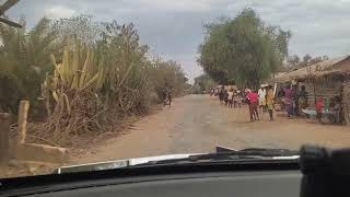 The South of Madagascar - Between Sakaraha and Andranovory 
