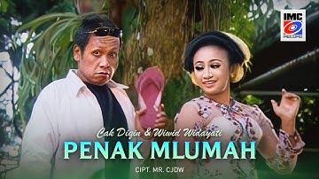 Cak Diqin Ft. Wiwid Widayati - Penak Mlumah (Karaoke Campursari) IMC Record Java