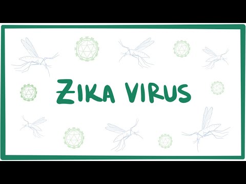 Video: Hướng dẫn Phòng tránh Virus Zika ở Hy Lạp