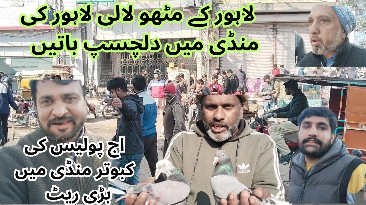 لاہور کے مٹھو لالی لاہور کی کبوتر منڈی میں کیا ہوا 