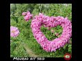 AGDIG N DADES فنان عمر ايت سعيد AGDIG N DADES فنان عمر ايت سعيد