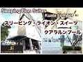 【スリーピング　ライオン　スイーツ】　Sleeping Lion Suites マレーシア🇲🇾クアラルンプール　宿泊記
