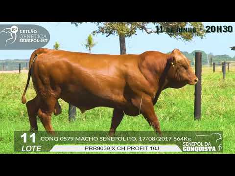 LOTE 11    CONQ 579