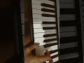 Shakerando By Rhovelaprovincee With 4 Keys G A Bb C 