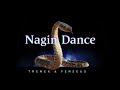 Trenex  ferseus  nagin dance albanian remix official music  copyright free