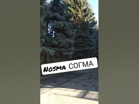 согма | владикавказ| north ossetian state medical academy nosma ...
