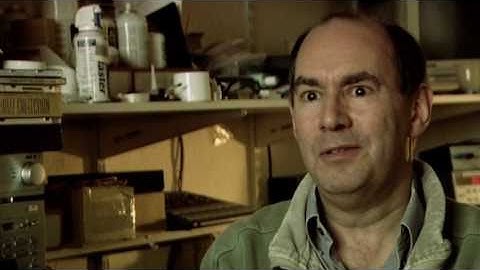 John Price - Schneiders Buero Analog Synthesizer