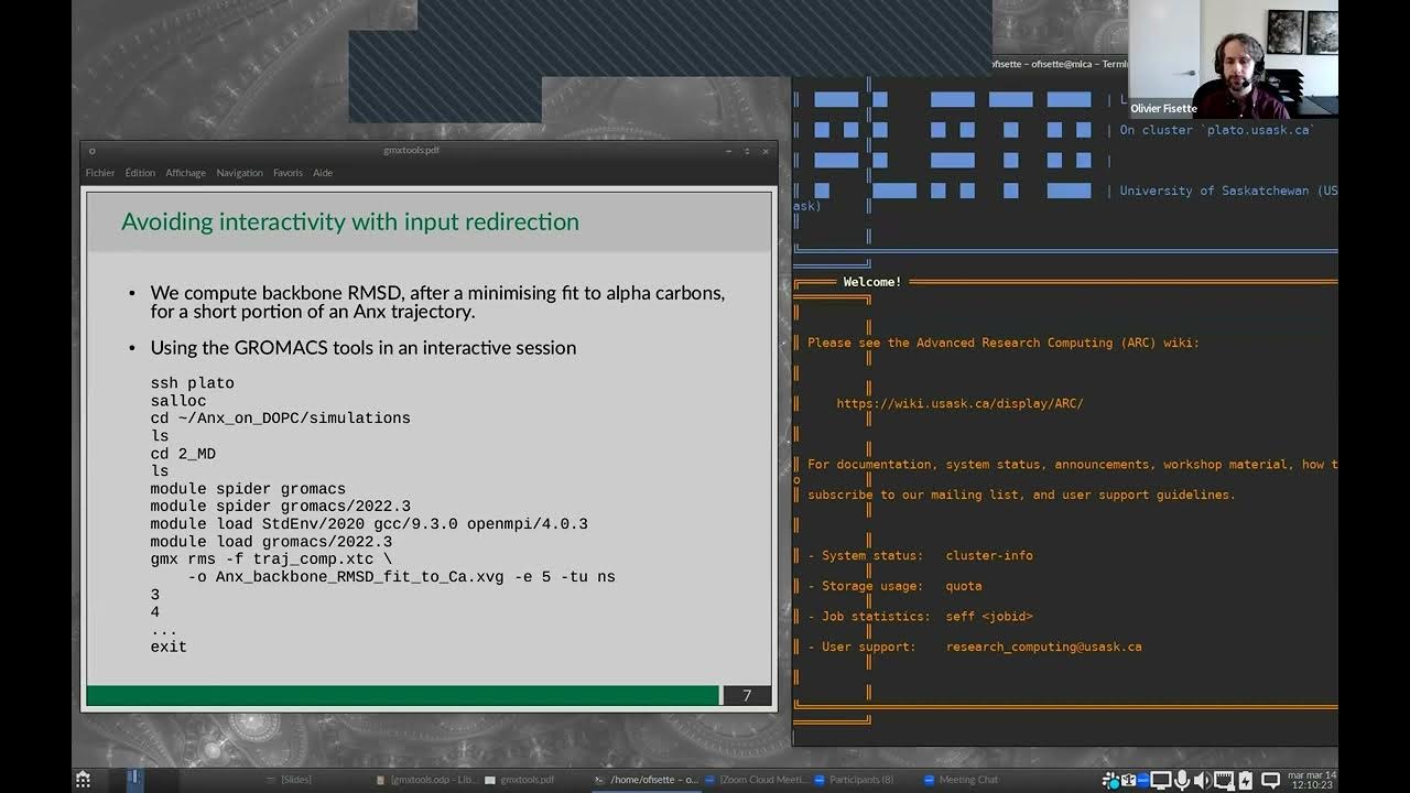 What Are Interactive Simulations With Gromacs