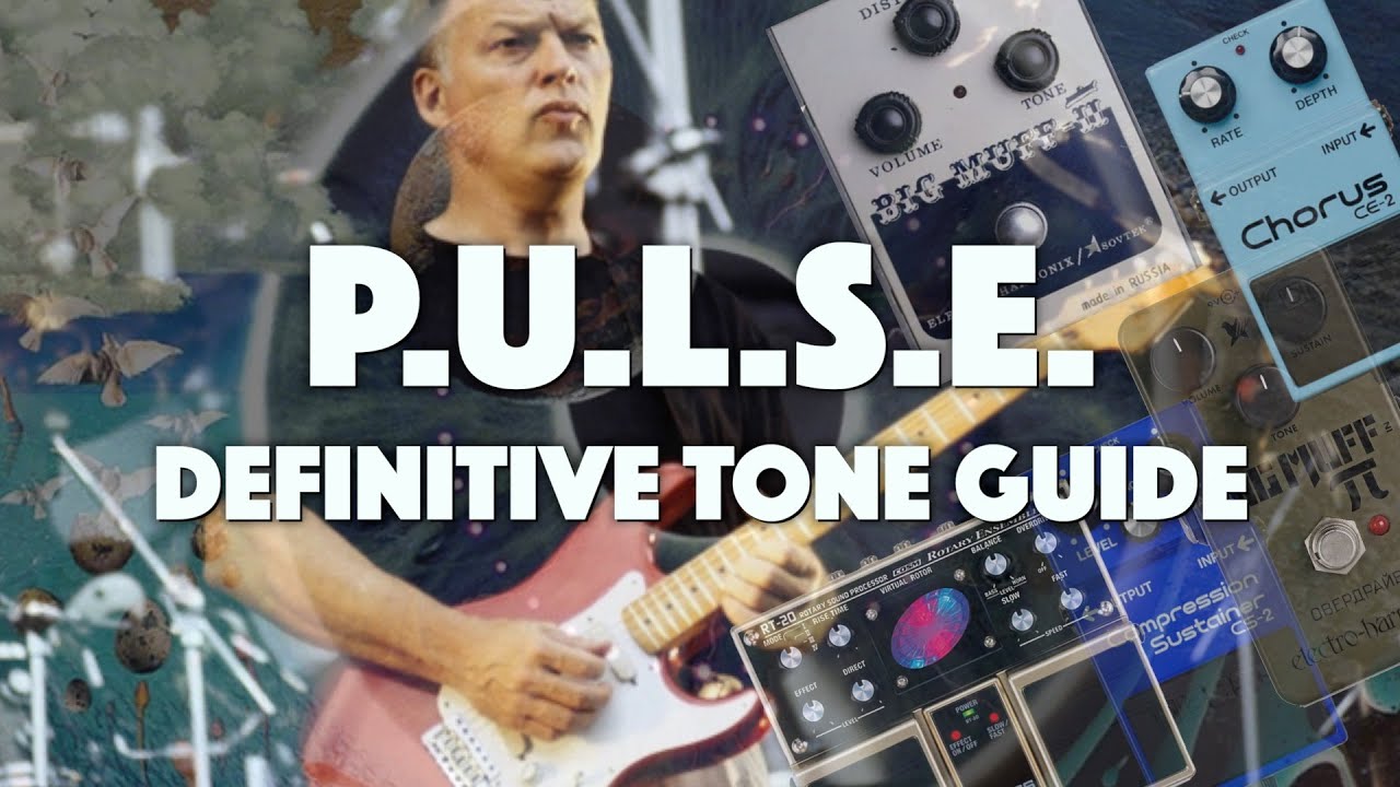 David Gilmour's PULSE Tones Definitive Guide (Song by Song!) YouTube