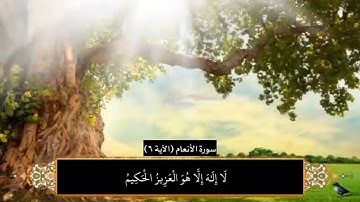 آياتٌ مختارةٌ مِنَ الذكرِ الحكيم سورةُ الأنعام (الآية ٦ ) #هل_القرآن_الأبرار
