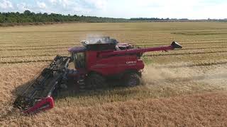 Layne Farms 2021 Rice Harvest