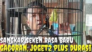 SADIS BRO ! GACORNYA GAK KALENG2 PLUS DURASI DAN READY SANGKAR SEKEN RASA BARU