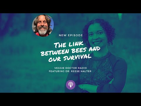 Episode #96: The Link Between Bees and Our Survival with Dr. Reese Halter