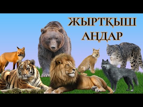 Бейне: Жолбарыс орхидеясы: сипаттамасы, үйде өсіру ерекшеліктері