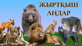 Жабайы жануарлар. Қазақша мультфильм. Дикие животные. Учим животных. Арыстан, жолбарыс, түлкі т.б