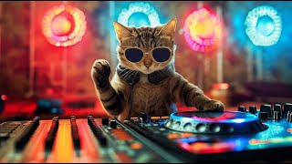 Download Lagu DJ MIAWW Live - Dance the Night Away with The Coolest Cat DJ π§ HOUSE LAK \u0026 DEEP HOUSE 2025! MP3 Download Lagu DJ MIAWW Live - Dance the Night Away with The Coolest Cat DJ π§ HOUSE LAK \u0026 DEEP HOUSE 2025! MP3
