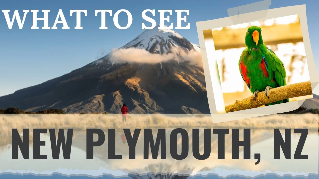 What To Expect In New Plymouth As A Cruise Visitor On A Budget