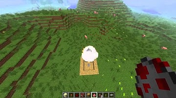 Hilarious Minecraft Chicken Explosion