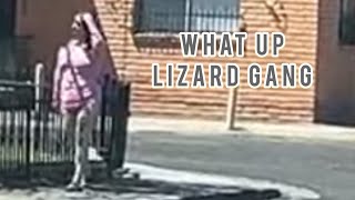 lizard hunter is live